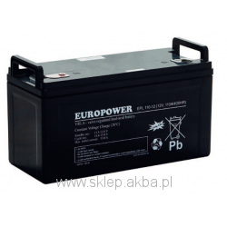 EUROPOWER EPL 110-12 (12V 110Ah)